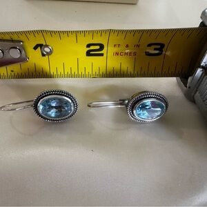 7 ct tw Sterling Silver Oval Blue Topaz Earrings